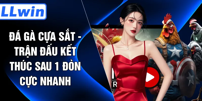 Đá Gà Cựa Sắt - Trận Đấu Kết Thúc Sau 1 Đòn Cực Nhanh